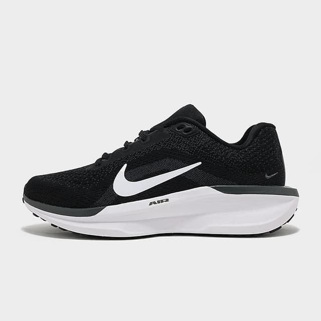 Nike Air Winflo 11 Women's